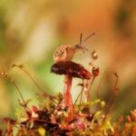 南宫28的民俗风情与当地居民生活 2vqsck95k