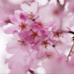 南宫28的历史遗址与考古发现 500ki1h