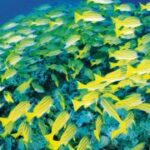 南宫pg的社会发展与公共服务体系 94z18we